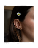 First Date Studs, Yellow Gold, close-up lifestyle shot of a model's ear wearing a small stud earring with a daisy tucked behind the ear as a styling prop, solid 18k yellow gold. Tarnish-resistant and made for everyday wear — Maya & Mason handcrafted fine jewellery.